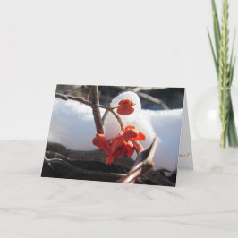 Tarjeta de Navidades de "serenidad de hibernación"