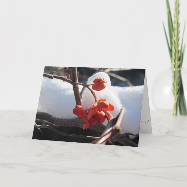 Tarjeta de Navidades de "serenidad de hibernación" (Anverso)