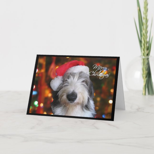 Tarjeta de Navidades de Sheepdog de Santa Vieja In (Anverso)