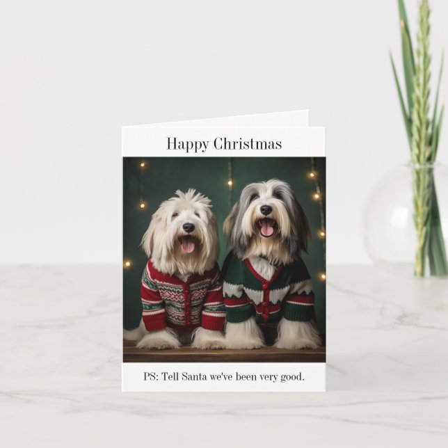 Tarjeta de Navidades de Sheepdogs ingleses viejos (Anverso)