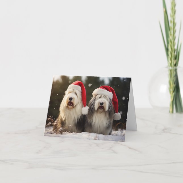 Tarjeta de Navidades de Sheepdogs ingleses viejos (Anverso)