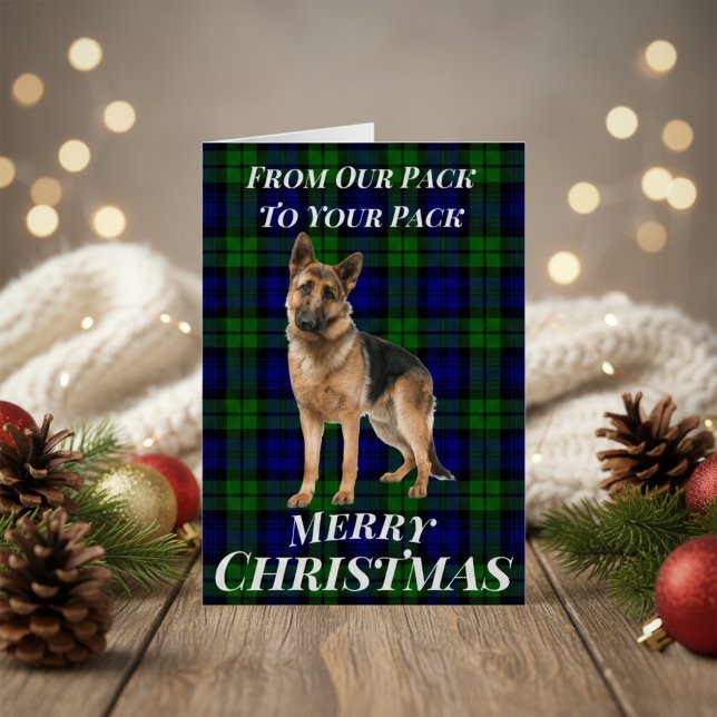 Tarjeta de Navidades de Shepherd Tartan (German Shepherd Tartan Christmas Card)