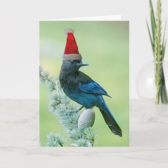Tarjeta de Navidades de Steller para Jay (Anverso)