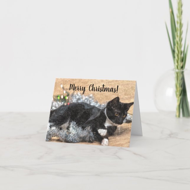 Tarjeta de Navidades de Tinsel y Luces de Tuxedo K (Anverso)
