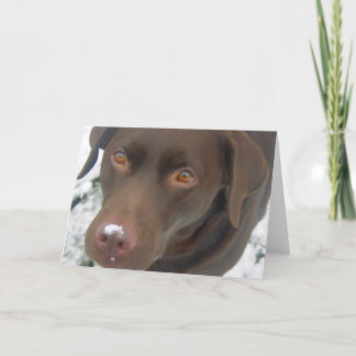 Tarjeta de Navidades de vacaciones - Perro Labrado