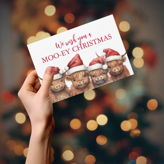 Tarjeta de Navidades de vacas de Highland Budget (Subido por el creador)