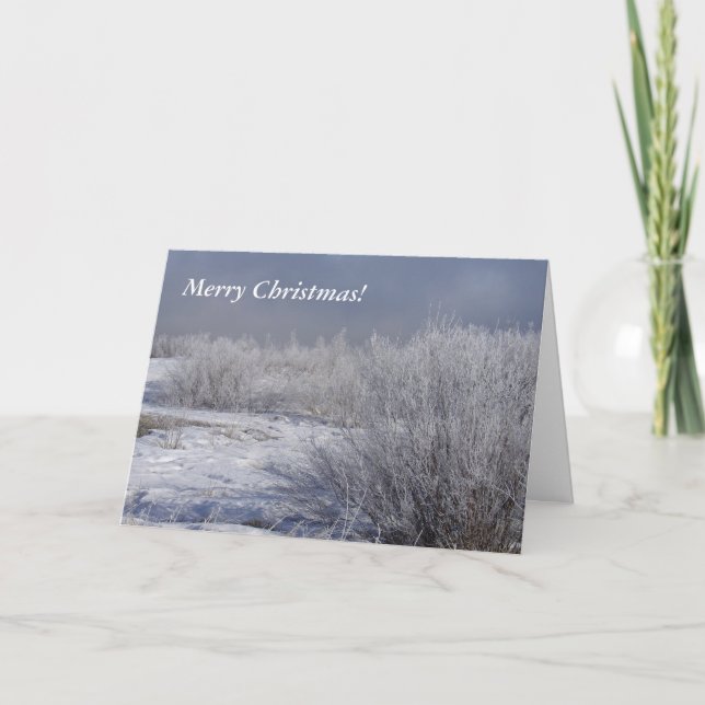 Tarjeta de Navidades de Willows de invierno escéni (Anverso)