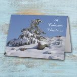 Tarjeta de Navidades de Winter Pine Colorado<br><div class="desc">Un hermoso pino de invierno de Colorado se dobla bajo el peso de la brillante nueva nieve, pero un cielo azul brillante de montaña se muestra en el fondo. El texto blanco en la parte delantera dice "Navidades de Colorado", pero puede cambiarse a lo que quieras. El texto interior también...</div>