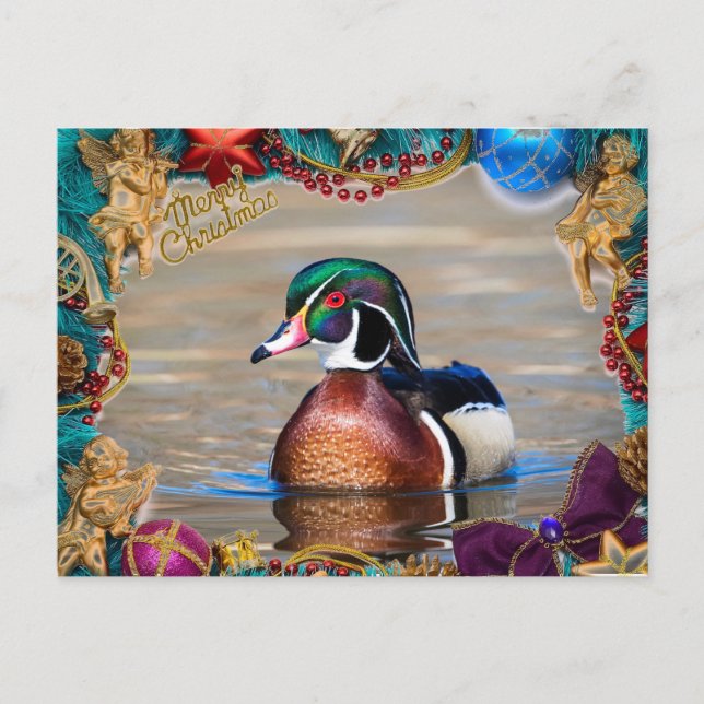 Tarjeta de Navidades de Wood Duck Drake (Anverso)