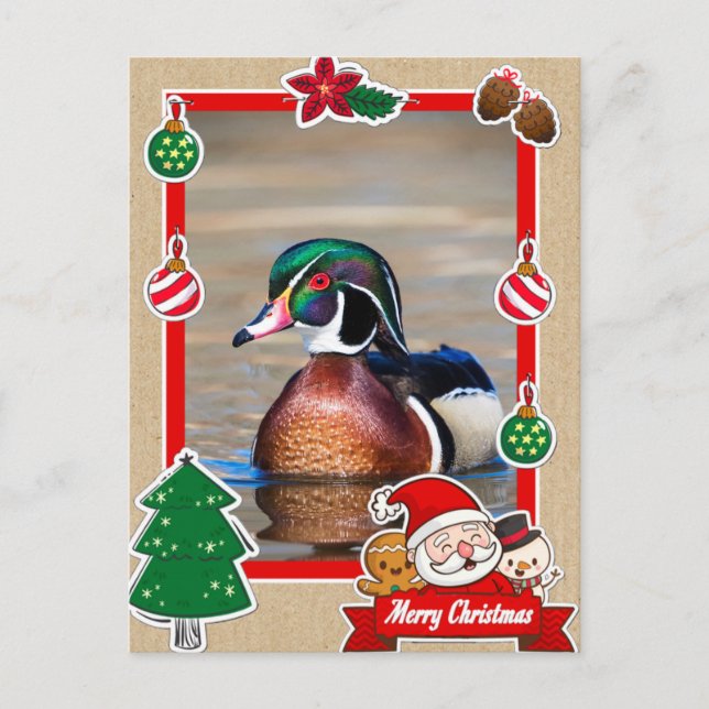 Tarjeta de Navidades de Wood Duck Drake (Anverso)