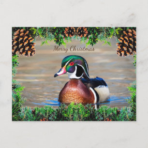 Tarjeta de Navidades de Wood Duck Drake