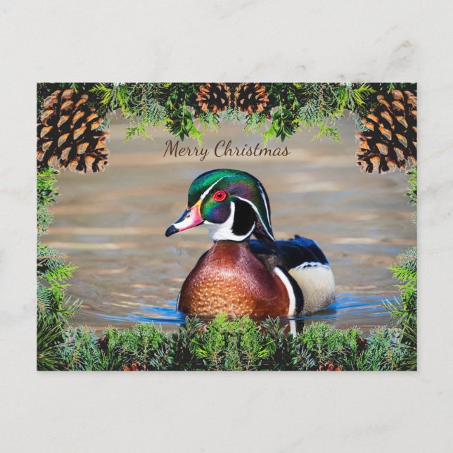 Tarjeta de Navidades de Wood Duck Drake (Anverso)