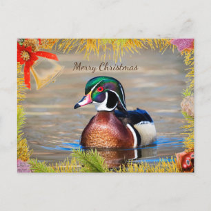 Tarjeta de Navidades de Wood Duck Drake