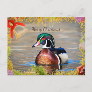 Tarjeta de Navidades de Wood Duck Drake