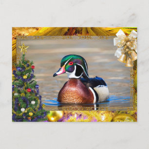 Tarjeta de Navidades de Wood Duck Drake