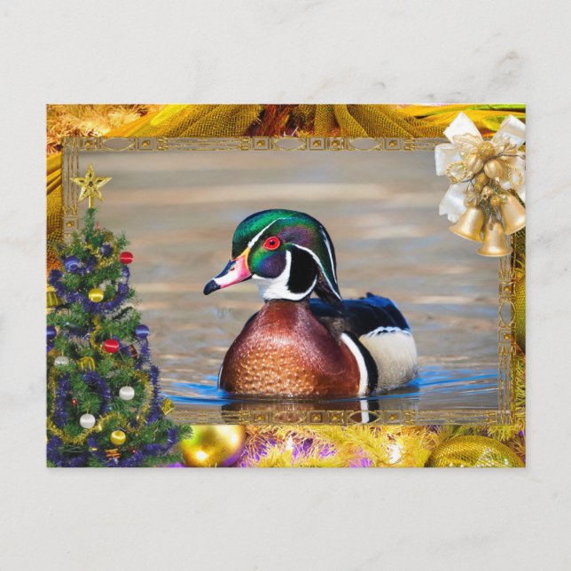 Tarjeta de Navidades de Wood Duck Drake (Anverso)