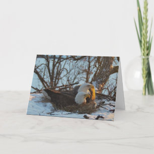 Tarjeta de Navidades Decorah Nest North