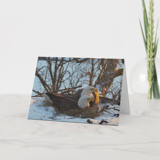 Tarjeta de Navidades Decorah Nest North (Anverso)