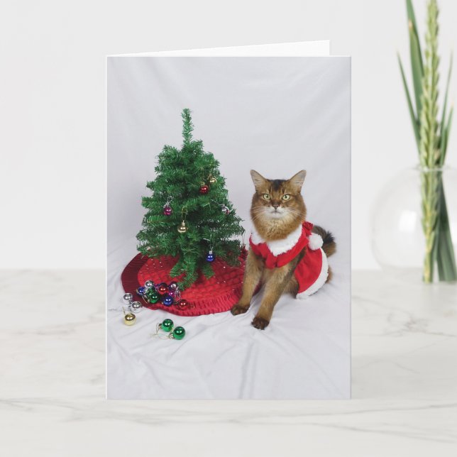 Tarjeta de Navidades decorativos de árbol de gato  (Anverso)