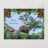 Tarjeta de Navidades del águila calva estadouniden