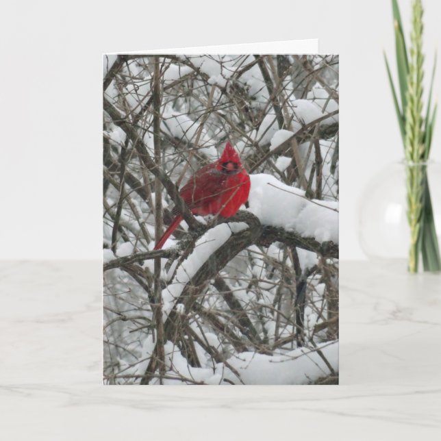Tarjeta de Navidades del Cardenal de Nieve (Anverso)