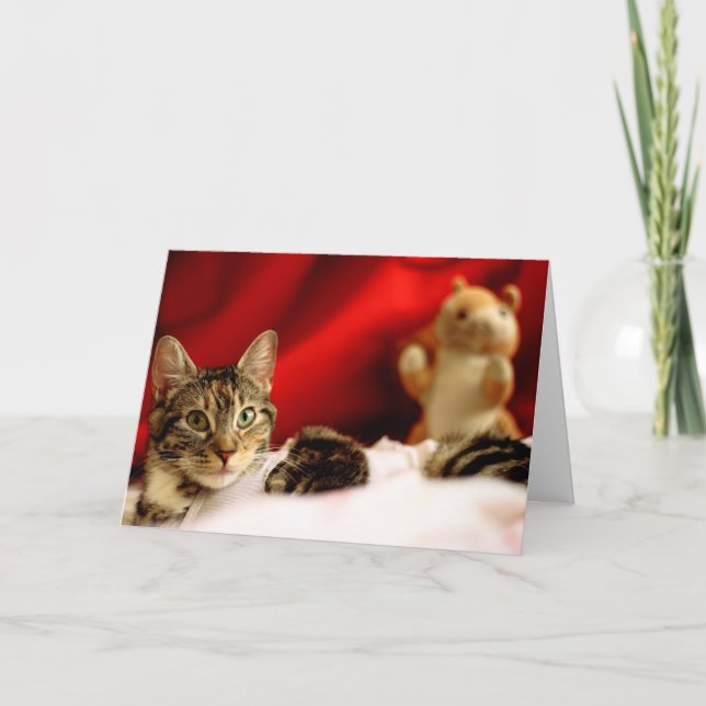 Tarjeta de Navidades del gato del mascota (Anverso)