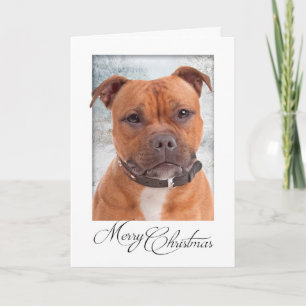 Tarjeta de Navidades del personal