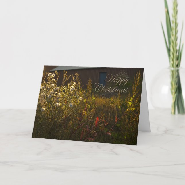 Tarjeta de Navidades divertidos (Anverso)