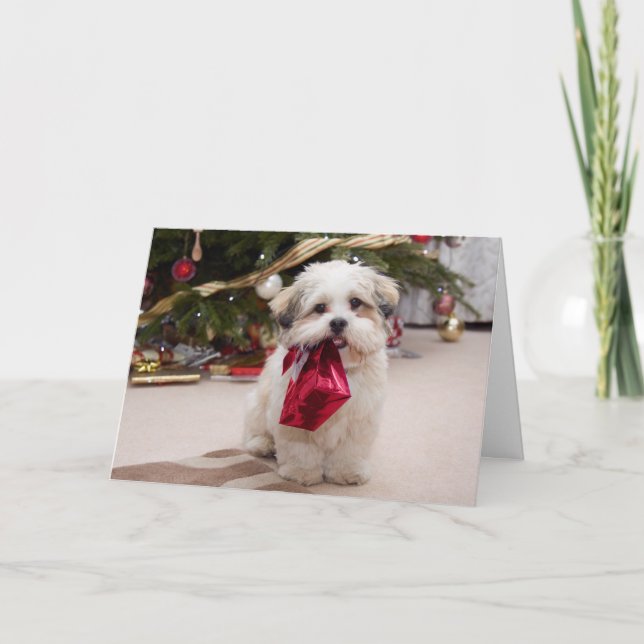Tarjeta de Navidades divertidos de personalizable (Anverso)