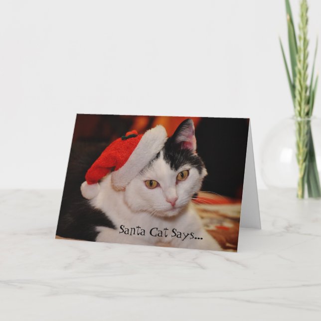 Tarjeta de Navidades divertidos de Santa Cat Lover (Anverso)