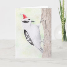 Tarjeta de Navidades Downy Woodpecker
