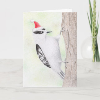 Tarjeta de Navidades Downy Woodpecker