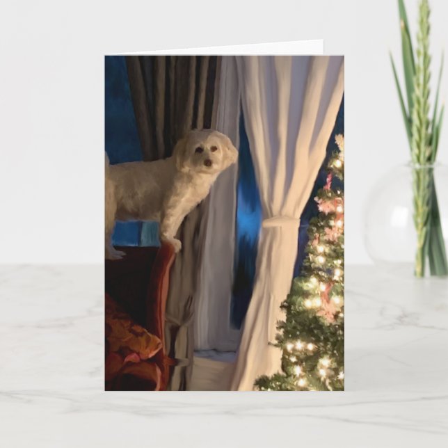 Tarjeta de navidades - Esperando a Santa Paws (Anverso)
