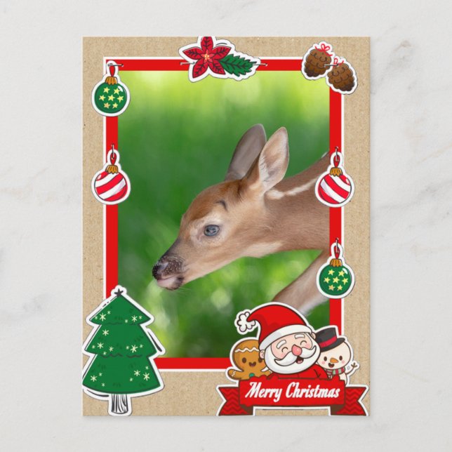 Tarjeta de Navidades Fawn (ciervo de cola blanca) (Anverso)