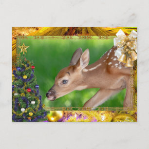 Tarjeta de Navidades Fawn (ciervo de cola blanca)