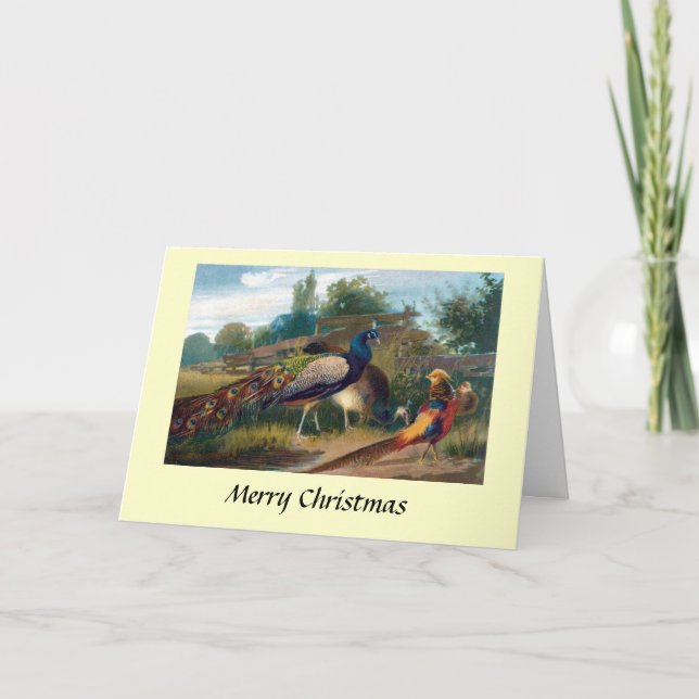 Tarjeta de navidades - Féasants (Anverso)