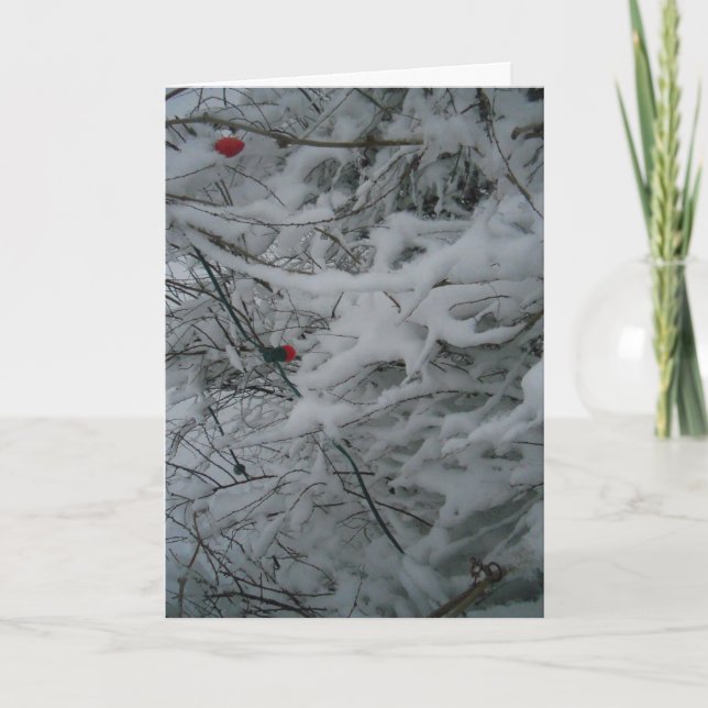 Tarjeta de Navidades "Festivamente Fluffed" (Anverso)