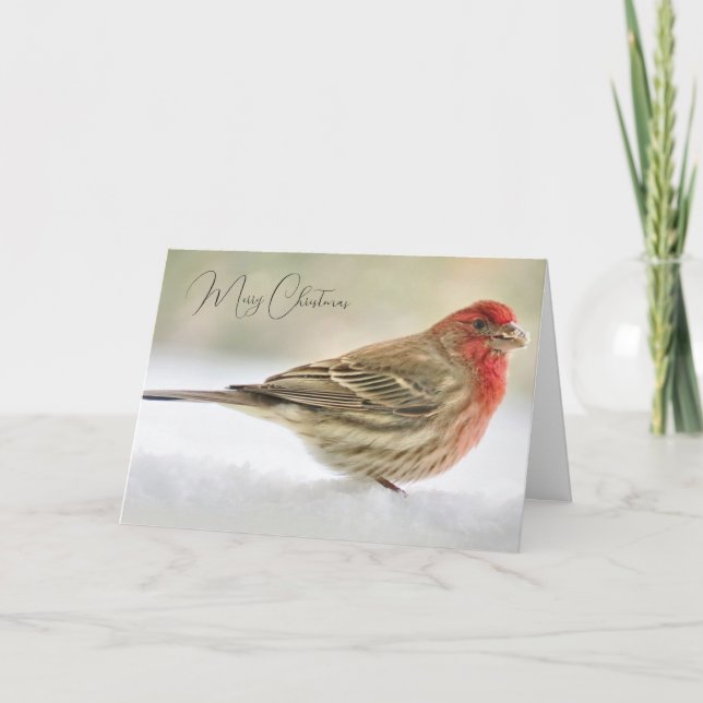 Tarjeta de Navidades Finch Navidades (Anverso)