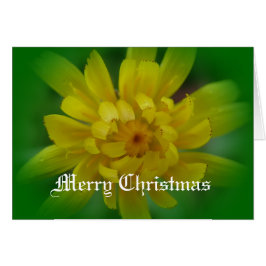 Tarjeta de Navidades florales de dientes de león a