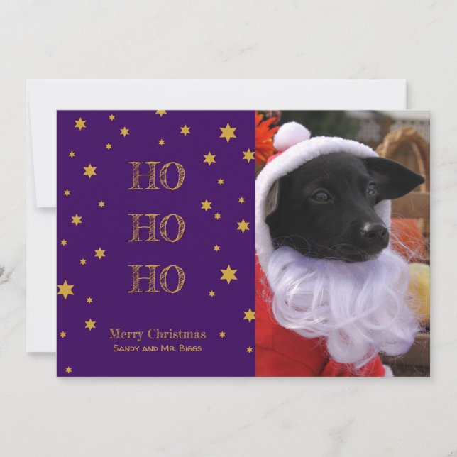 Tarjeta de Navidades fotográficos mascota personal (Anverso)
