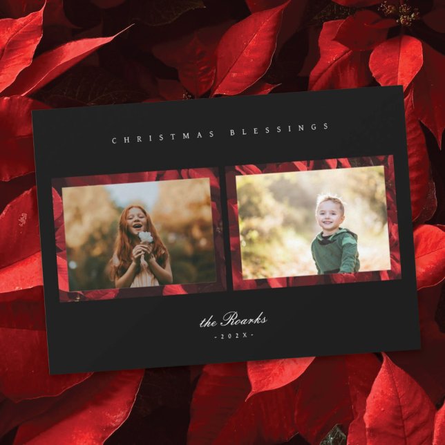 Tarjeta de Navidades fotográficos Poinsettia Petal (Subido por el creador)