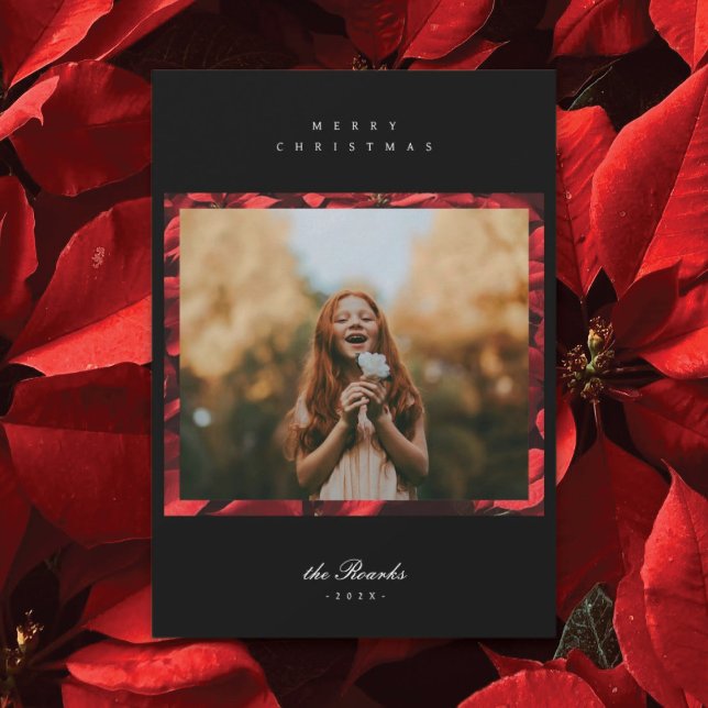 Tarjeta de Navidades fotográficos Poinsettia Petal (Subido por el creador)