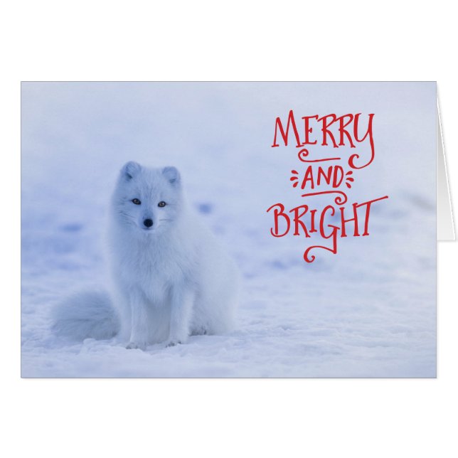 Tarjeta de Navidades Fox del Ártico Blanco (Anverso (Horizontal))