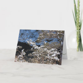 Tarjeta de Navidades "Frosty Pines"