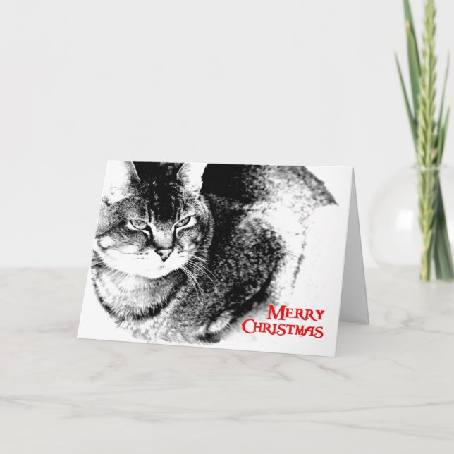 Tarjeta de navidades - Gato medio birmano (Anverso)
