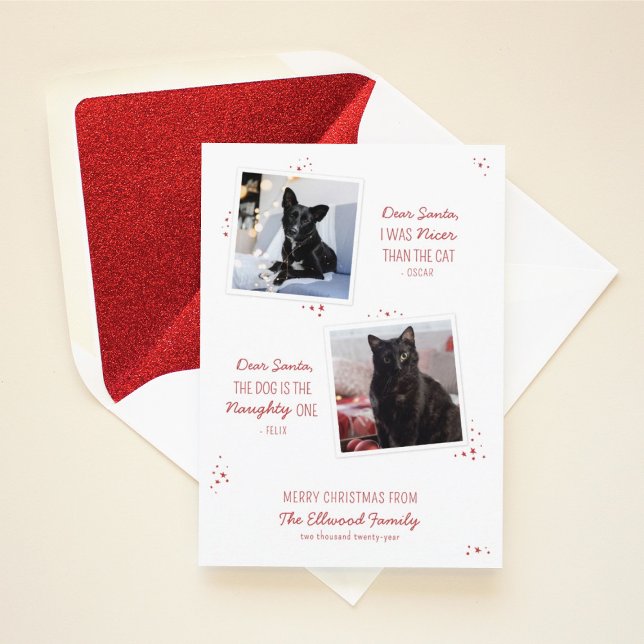 Tarjeta de Navidades graciosos Mascotas traviesos  (Subido por el creador)