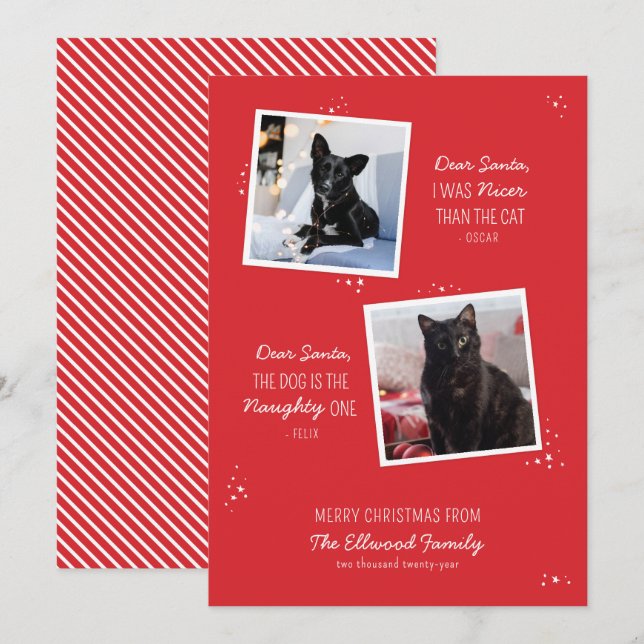 Tarjeta de Navidades graciosos Mascotas traviesos  (Anverso / Reverso)