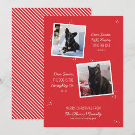 Tarjeta de Navidades graciosos Mascotas traviesos