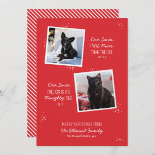 Tarjeta de Navidades graciosos Mascotas traviesos 