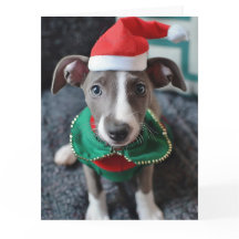 Tarjeta de Navidades Greyhound Elf Puppy
